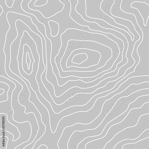Topographic map lines, earth relief, contour seamless background. Geographic grid, elevation map, in gray colors. Vector abstract pattern.