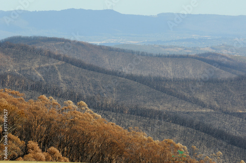 After The Fire. Contrast 2