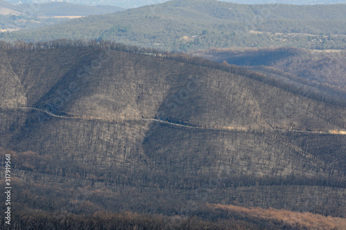 After The Fire. Contrast 2
