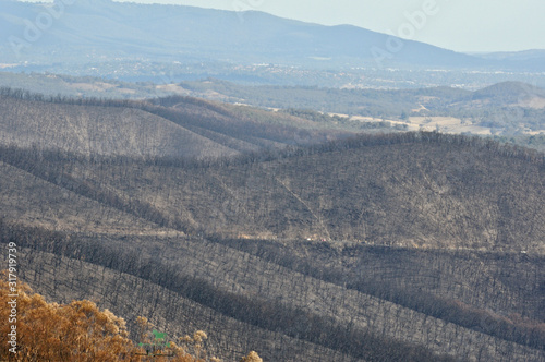 After The Fire. Burnt Hills.