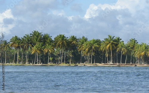 Fotografie Coconut Palms, Assinie Mafia, Ivory Coast