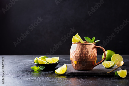 Photography Cold Moscow Mules cocktail with ginger beer, vodka, lime and mint