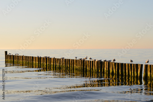 Fototapeta Naklejka Na Ścianę i Meble -  Sea near Ustronie Morskie