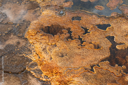 The colorful colors of the geothermal pools of Yellowstone created by the different bacterial flora
