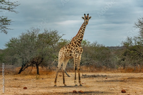 Photography south africa