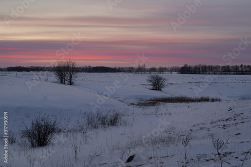 Wallpaper Mural Winter landscape-frosty trees in a snow-covered birch forest on a Sunny morning. Calm winter nature in sunlight Torontodigital.ca