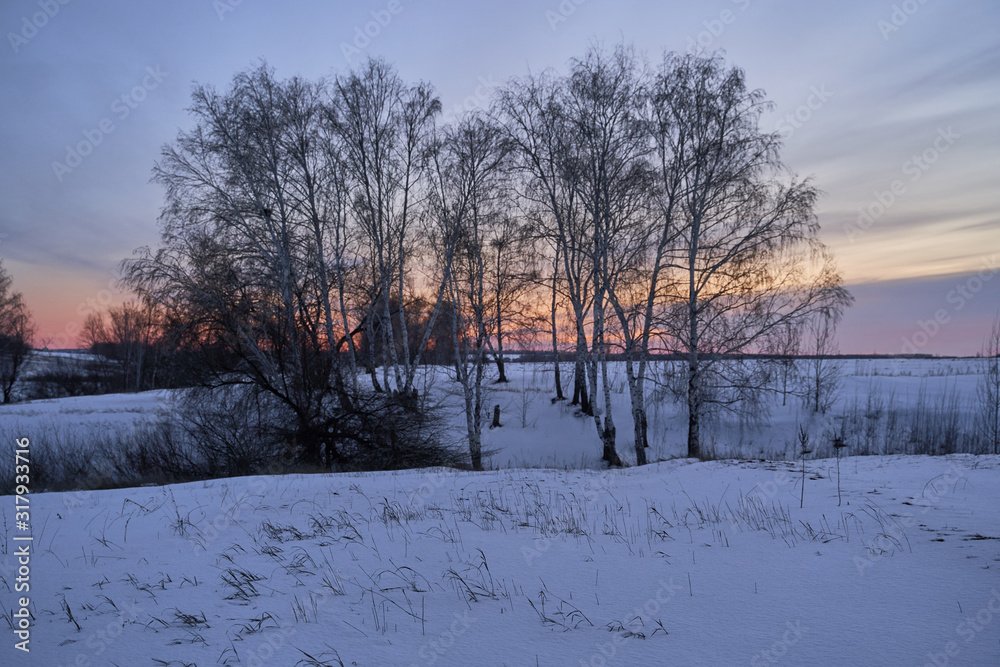 Winter landscape-frosty trees in a snow-covered birch forest on a Sunny morning. Calm winter nature in sunlight Winter landscape-frosty trees in a snow-covered birch forest on a Sunny morning. Calm winter nature in sunlight