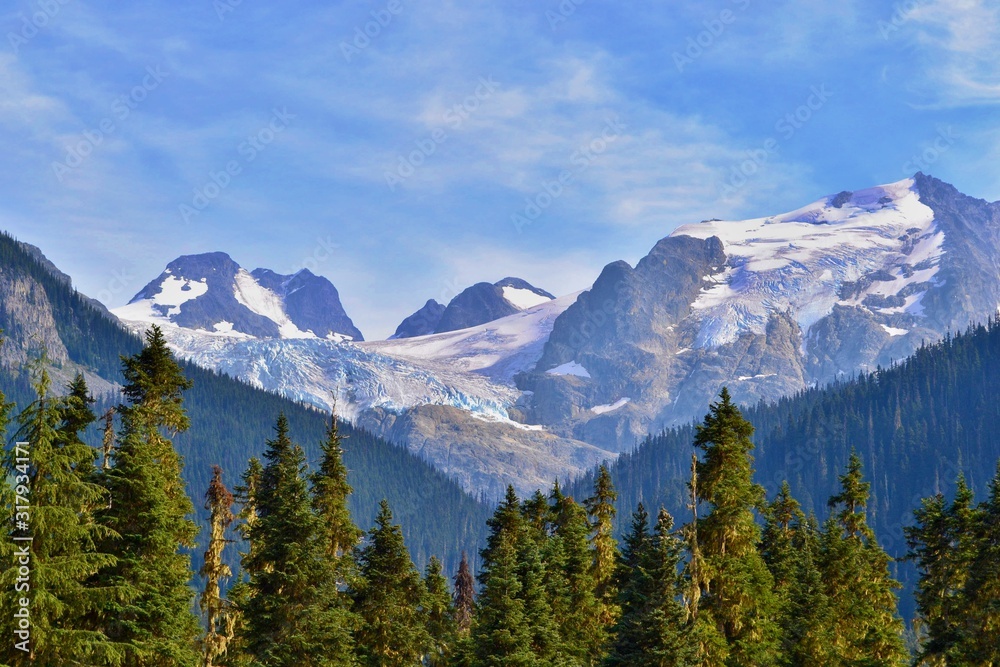 High mountains are covered with glacier, forest is growing in the foreground. Sun is shining, sky is blue, Canada. 