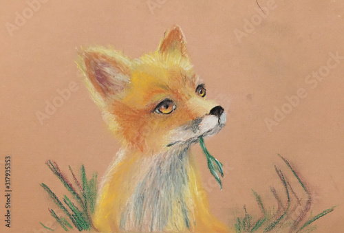 drawn  fox cub sits and watches