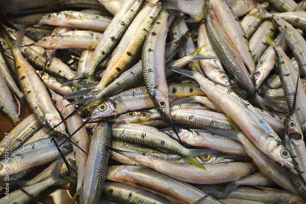 Fototapeta premium Fish Market, Closeup Fresh Fish 