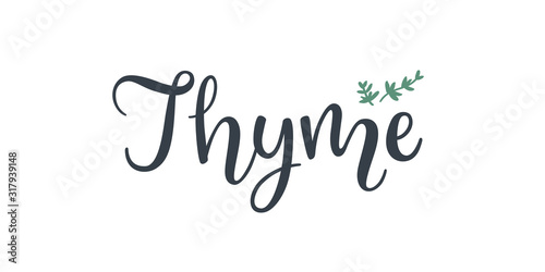 Thyme text hand drawn lettering isolated on white background.
