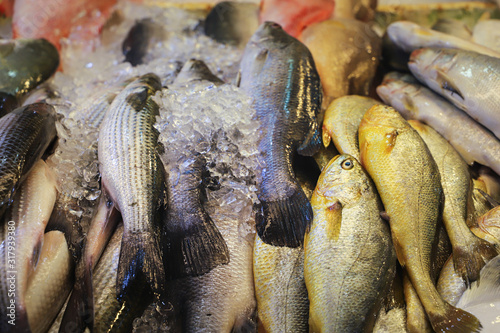 Photography Fresh Fish at Wet Market, Singapore