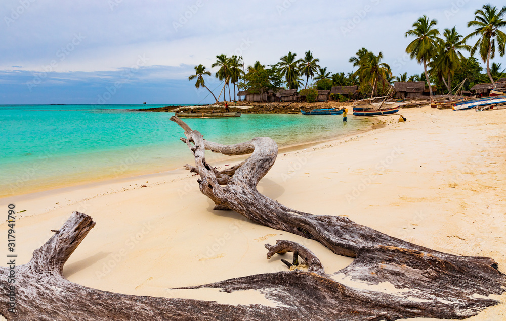 Drift wood on paradise island Nosy Iranja, Madagascar Drift wood on paradise island Nosy Iranja, Madagascar