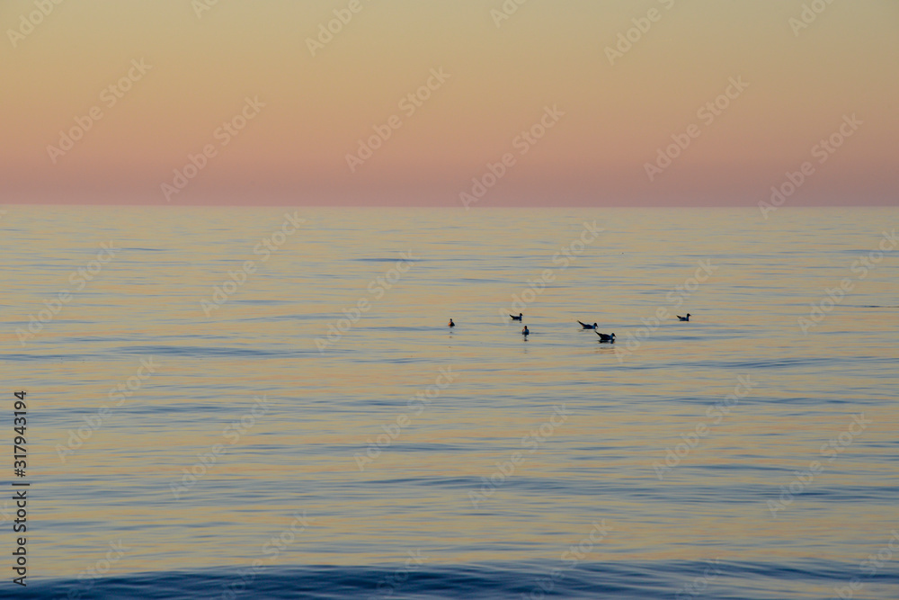 Sea near Ustronie Morskie