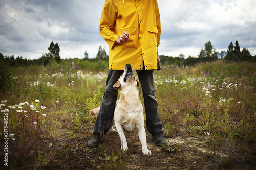Man with snack teaching dog in field