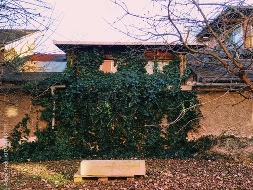 Street art in Ljubljana squat