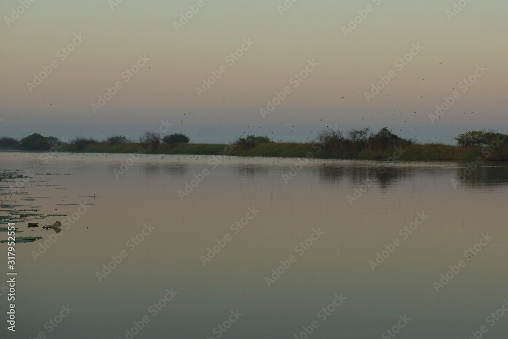 Fototapeta premium Sunrise over Shady Camp wetlands