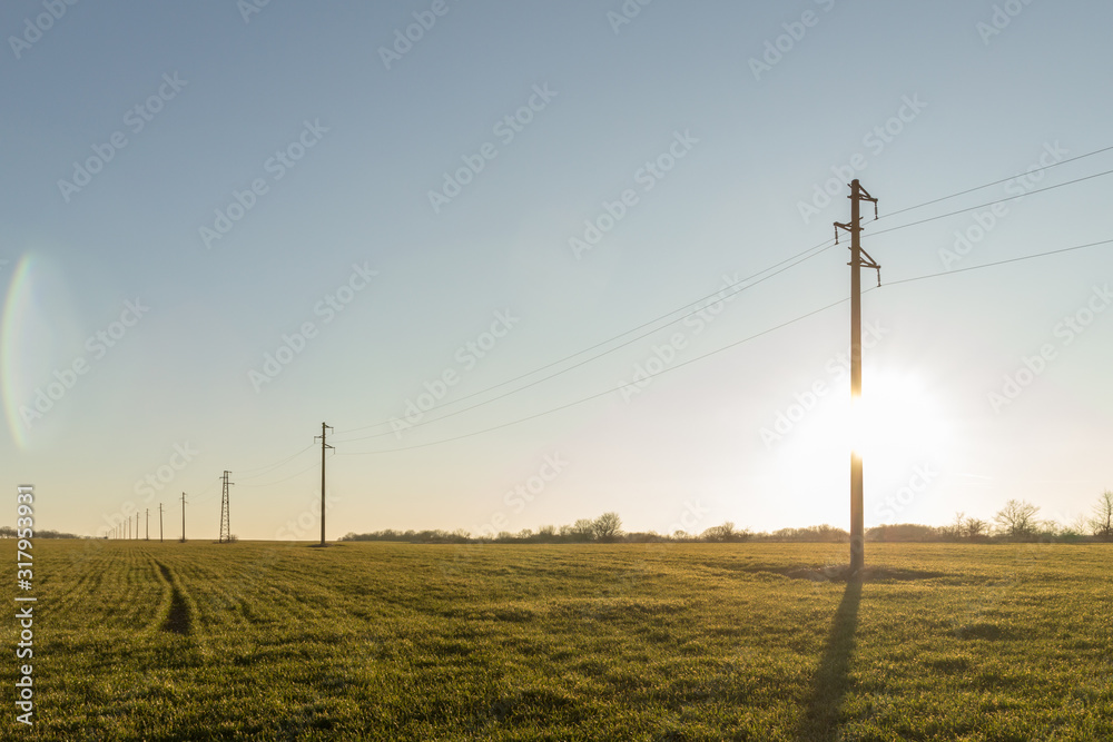 Selective focus. A line of electric poles with cables of electricity in a field with a forest in background in autumn during sunset.