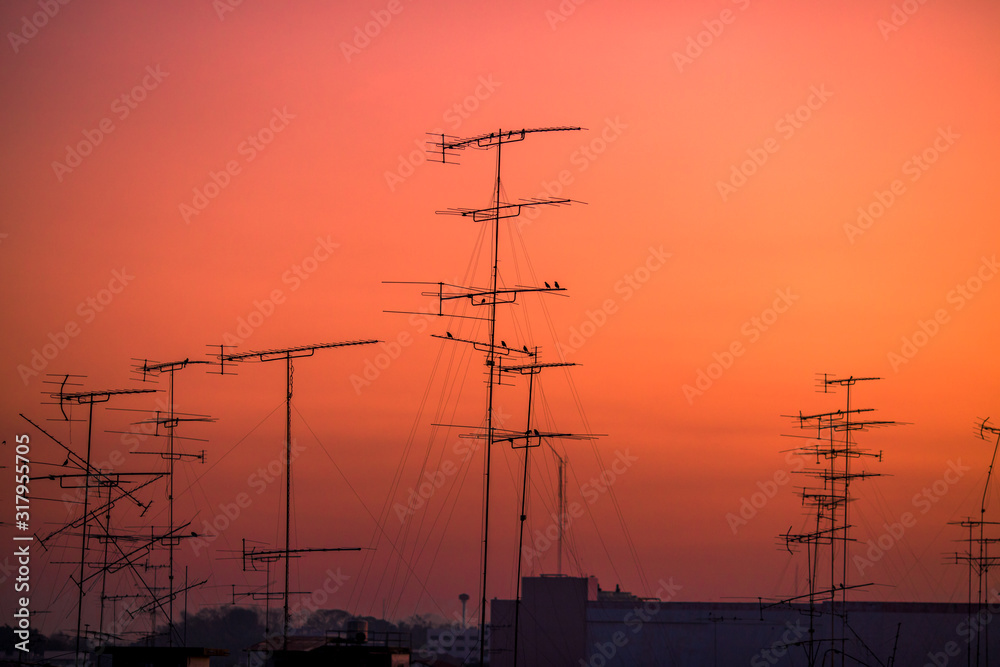 Blurred abstract background of the twilight light of the evening, with a flock of birds perched on a TV signal pole in the urban area.