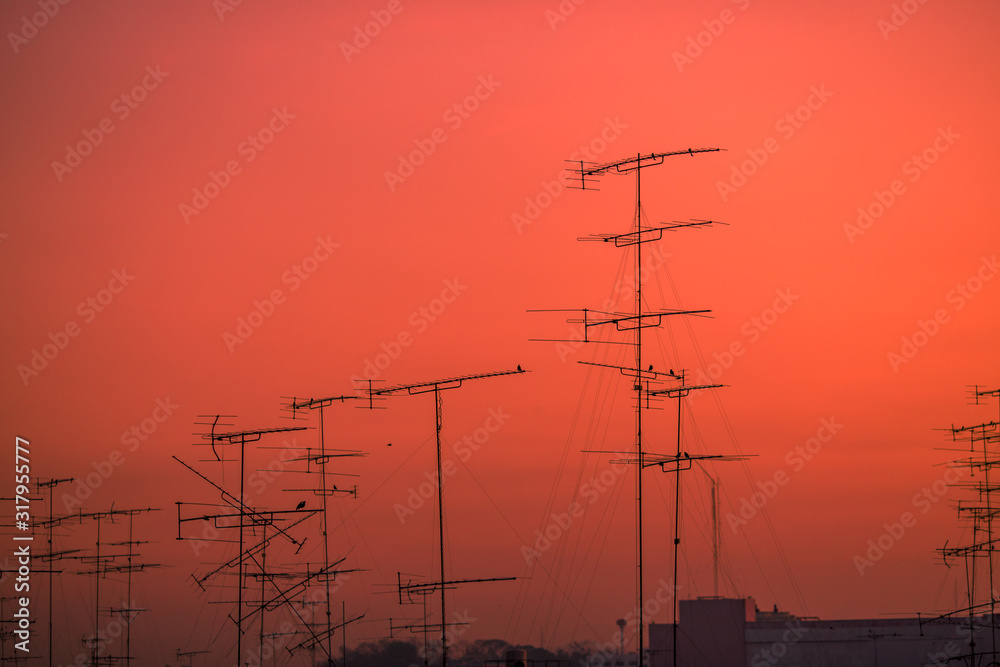 Blurred abstract background of the twilight light of the evening, with a flock of birds perched on a TV signal pole in the urban area.