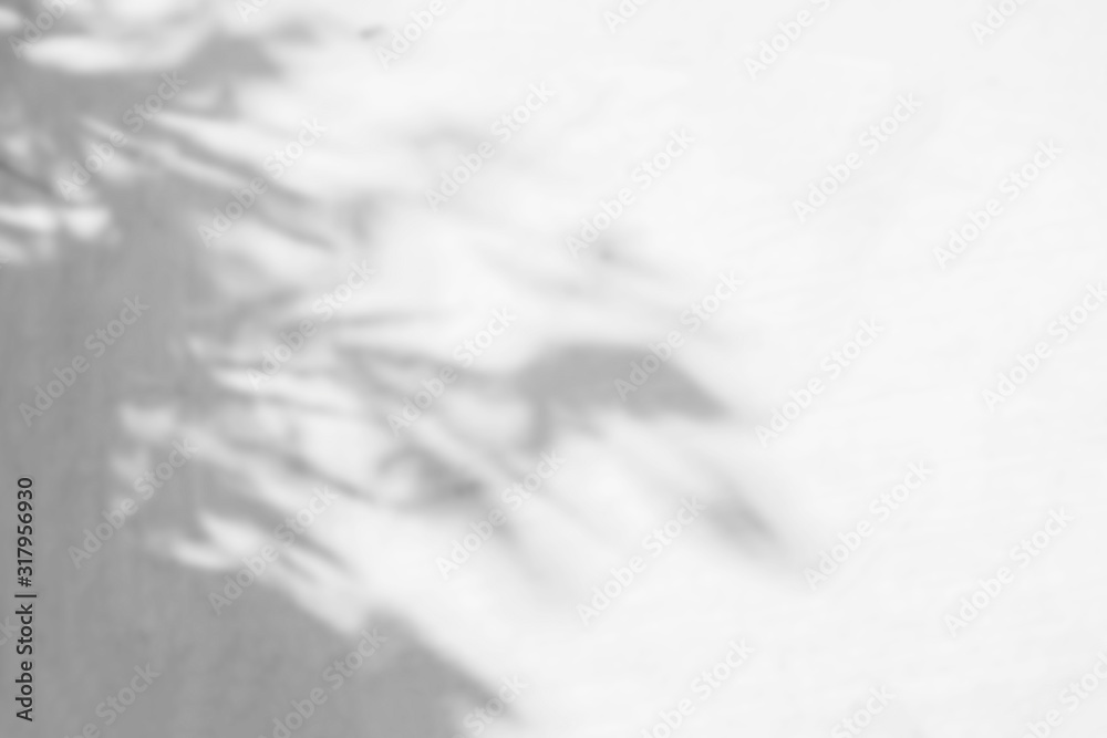 Abstract leaves shadow blurred background on white concrete wall texture Abstract leaves shadow blurred background on white concrete wall texture