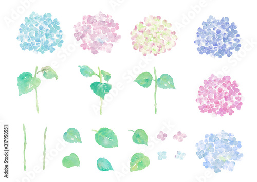 Photo Illustration of hydrangea hand painting with watercolor