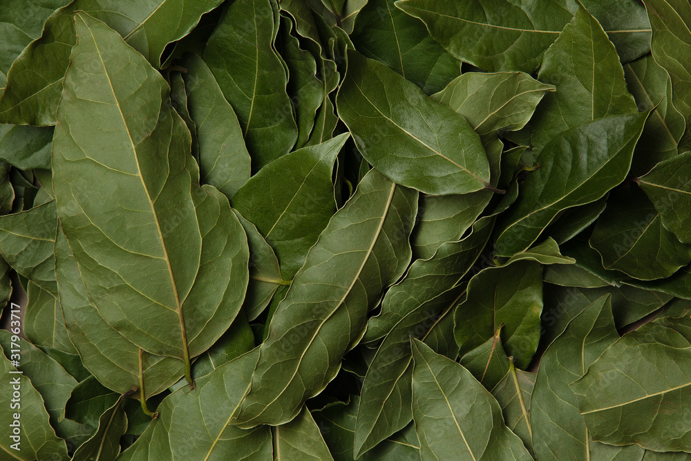Fototapeta premium Dried Laurel leaves texture background. Top view. Cooking background.