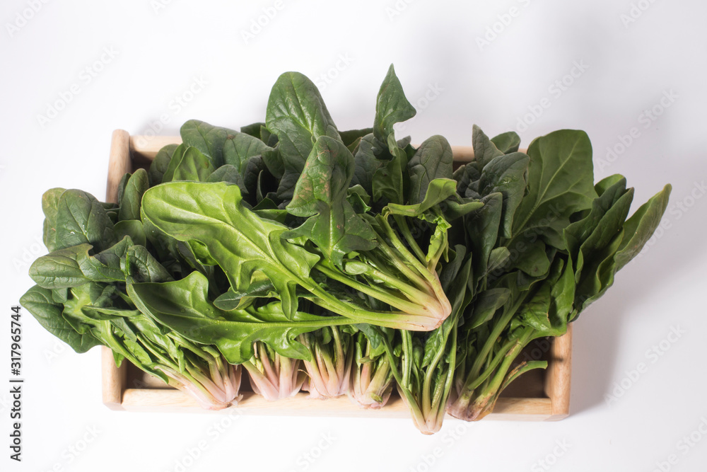 Bunch of spinach leaves on isolated white background Bunch of spinach leaves on isolated white background