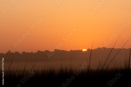 Photography Sun set view in Rajaji National Park, Haridwar, Uttarakhand