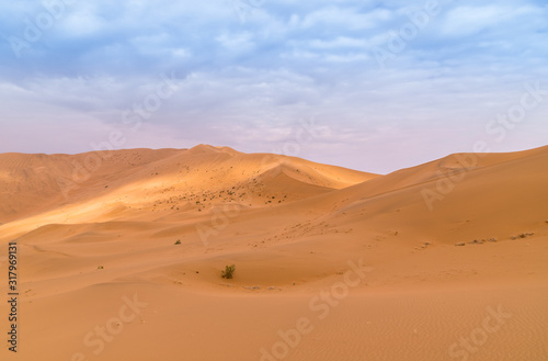 Badain Jaran Desert, desert, Inner Mongolia,  the third  largest desert in China, with the tallest stationary dunes on Earth and100 spring-fed lakes between the dunes © James Jiao
