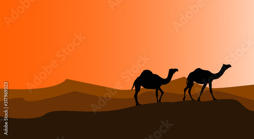 vector illustration, Caravan of camels walking through the desert 