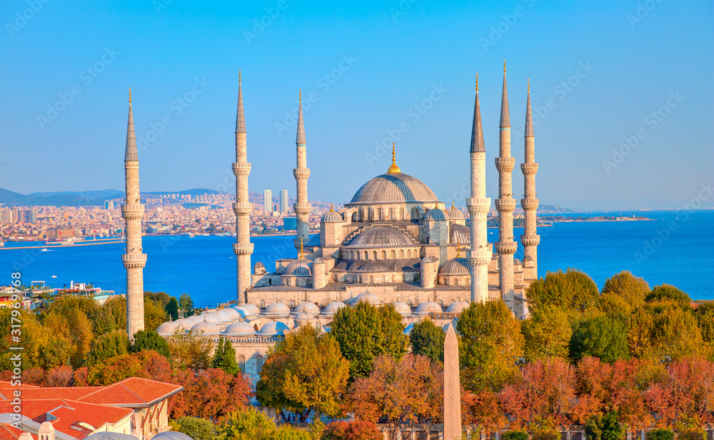 Naklejka premium Błękitny Meczet (Sultanahmet) - Stambuł, Turcja