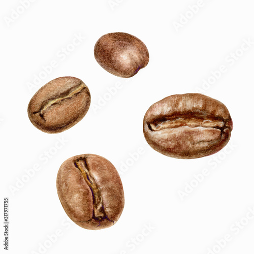 Coffee beens watercolor isolated on white background
