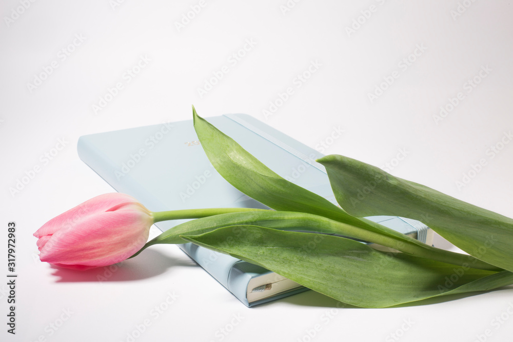 Fototapeta premium Open blank notepad and pink tulip flowers