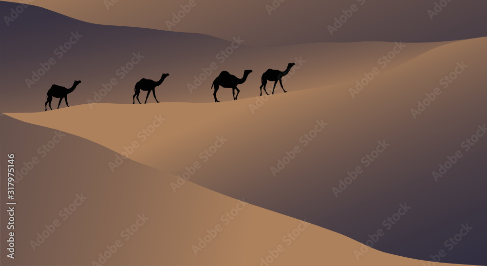 vector illustration, Caravan of camels walking through the desert vector illustration, Caravan of camels walking through the desert