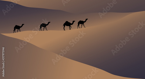 vector illustration  Caravan of camels walking through the desert 