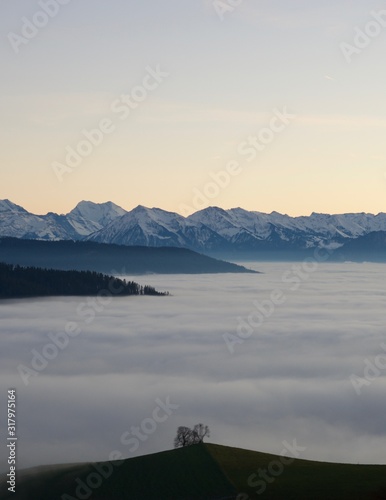 River of fog leading towards wiss alps mountain range
