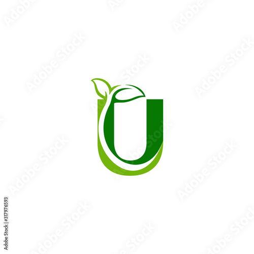 Combination of green leaf and initial letters U logo design vectors