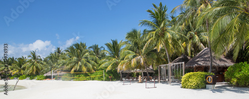 tropical vegetation at a resort in the Maldives