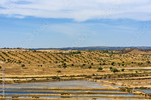 The salt marsh in castro marim, algarve , Portugal