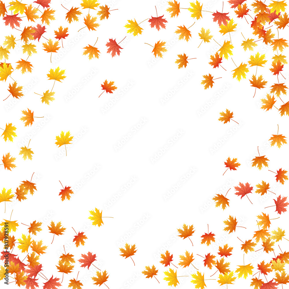 Maple leaves vector background, autumn foliage on white graphic design.