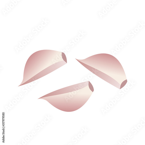 Three garlic cloves isolated on white background. Raw garlic pieces top view. Garlic icon. Ail aromatic clove used as seasoning. Allium sativum. Healthy antioxidant food. Vector illustration, flat. 