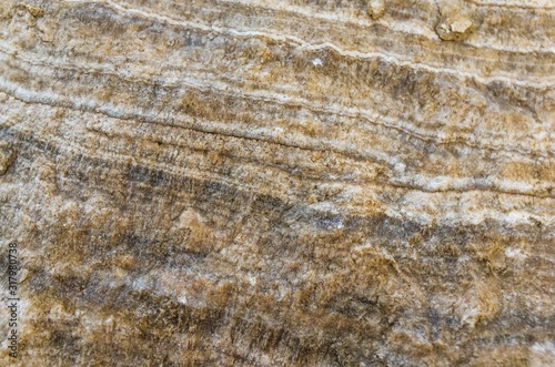 Texture abstract rock