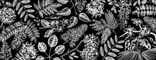 Vector background with spring trees in flowers illustrations. Hand drawn blooming plant. Vector flower, leaves, branch, trees