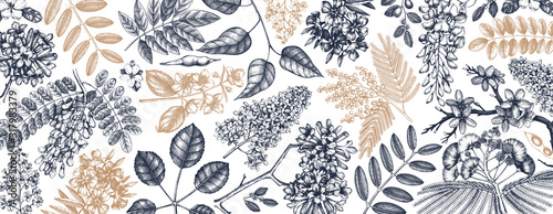 Vector background with spring trees in flowers illustrations. Hand drawn blooming plant. Vector flower, leaves, branch, trees