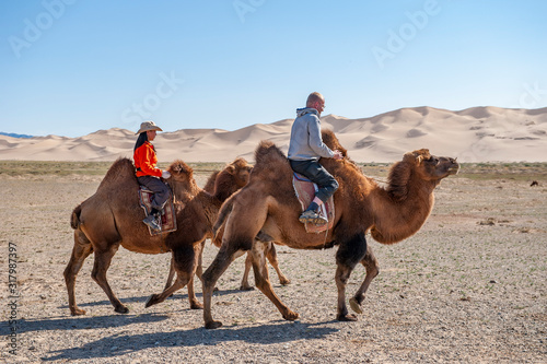 Mit dem Kamel durch die W  ste Gobi  Mongolei