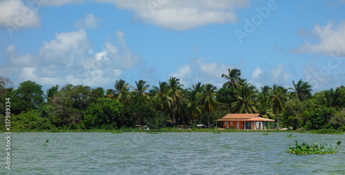 Humble house on riverside of san francisco river, Alagoas, Brazil photo