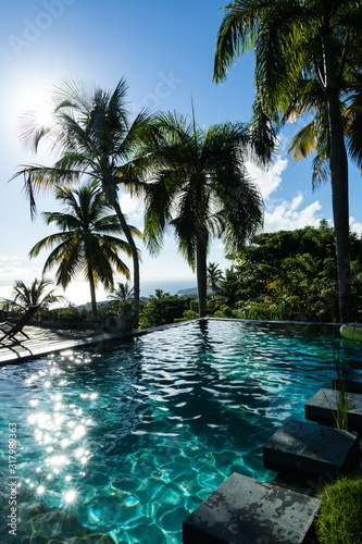 Infinity pool in tropical paradise © laura