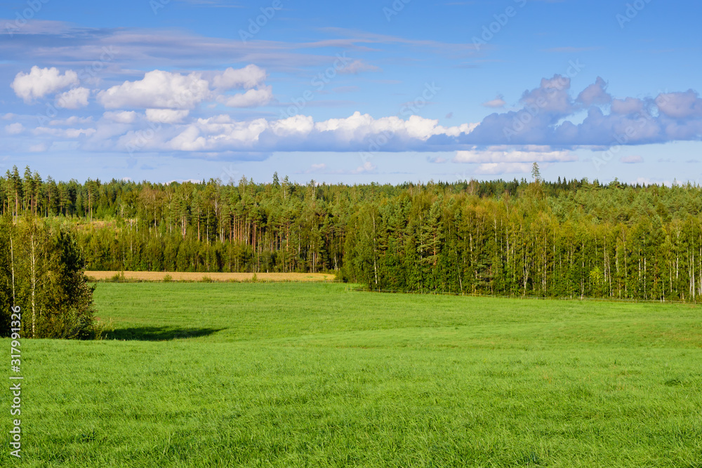 Picturesque green meadow against blue sky, beautiful summer landscape. Typical nature of Finland.