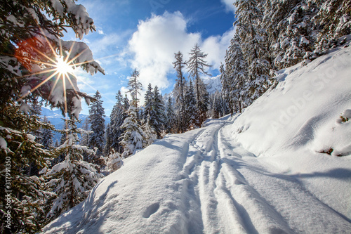 Eine tief verschneite Winterlandschaft